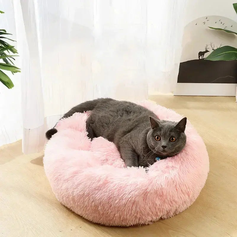 Cats Bed House Donut Round Sofa Supplies Winter Pet Accessories Warm Products Cushions Basket Kitten Mat For Cat Dog Beds - KYAAN