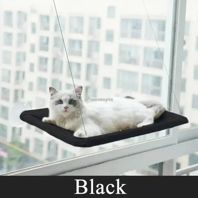 Hanging Cat Bed Pet Cat Hammock Aerial Cats Bed House Kitten Climbing Frame Sunny Window Seat Nest Bearing 20kg Pet Accessories - KYAAN